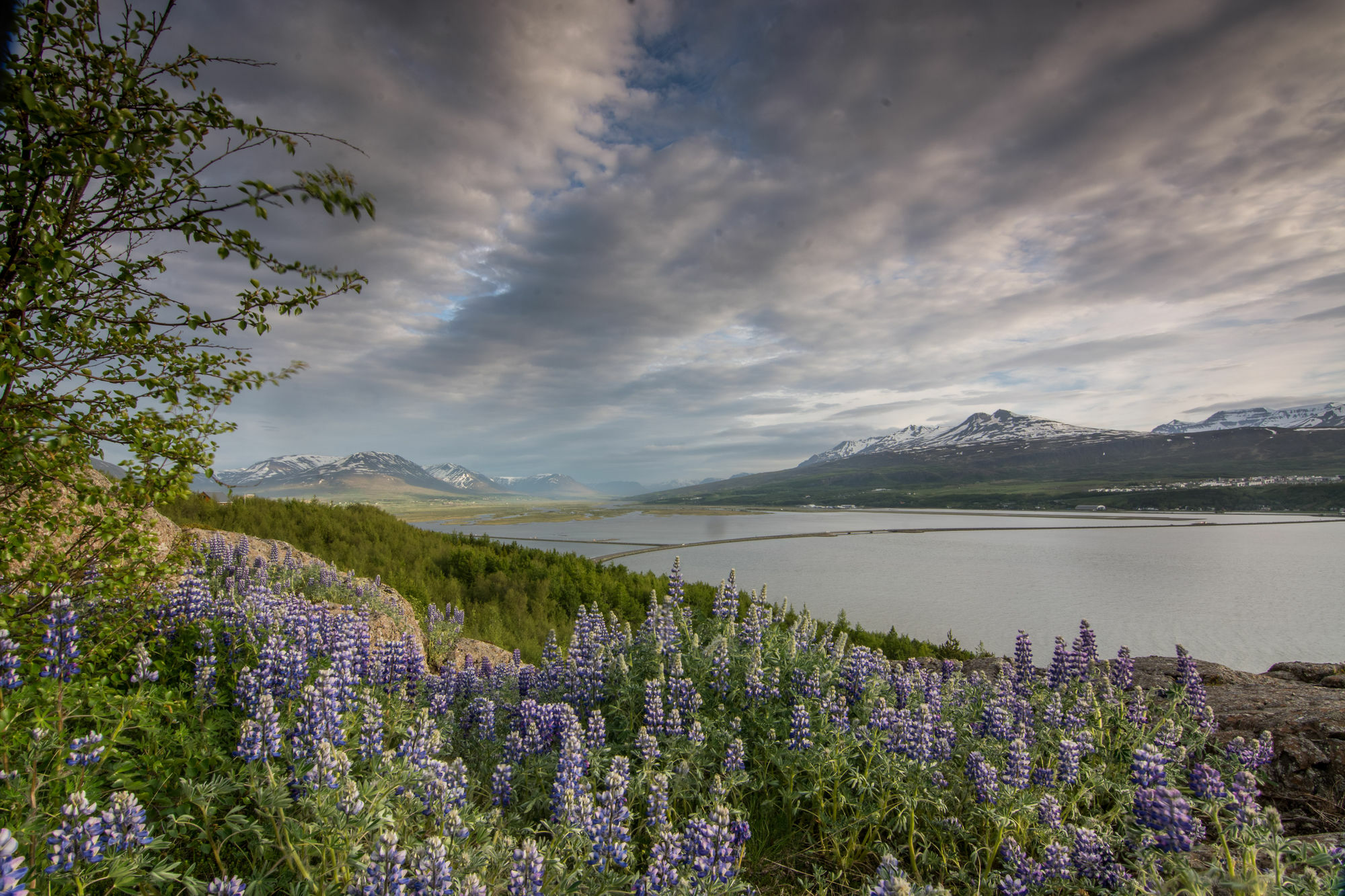 Viking Cottages & Apartments Akureyri Exterior photo